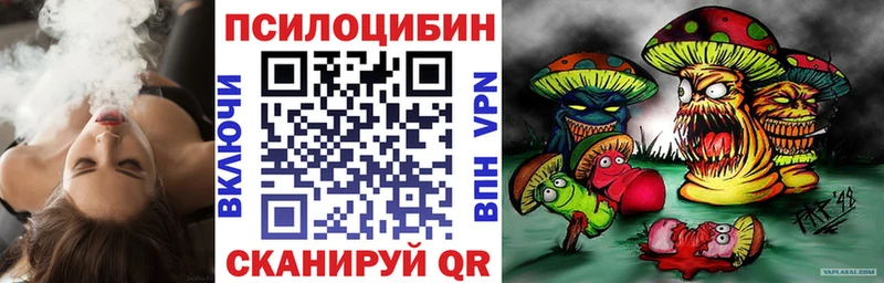 где продают   Сургут  Псилоцибиновые грибы Psilocybine cubensis 
