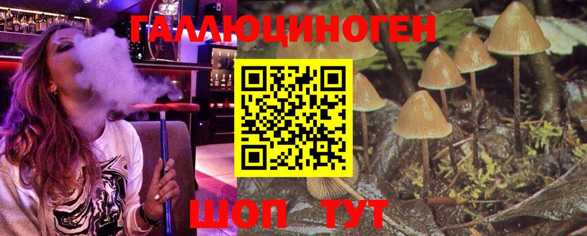 Галлюциногенные грибы прущие грибы Сургут