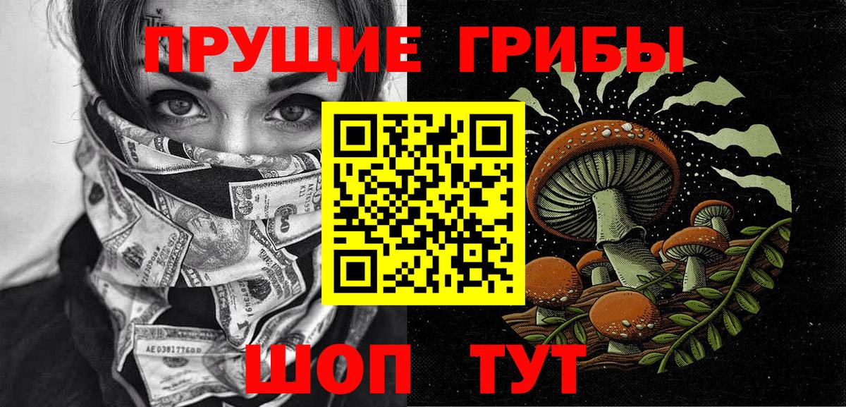 Галлюциногенные грибы Cubensis  Вход с VPN  Сургут 