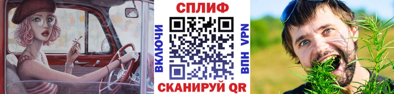 Канабис семена  наркошоп  Сургут 